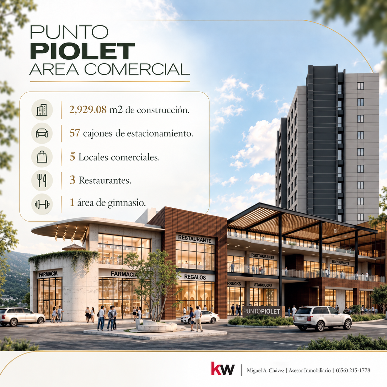Información del Área Comercial de Punto Piolet, proporcionada por Miguel A. Chávez